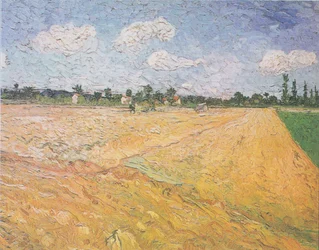 Plowed Field